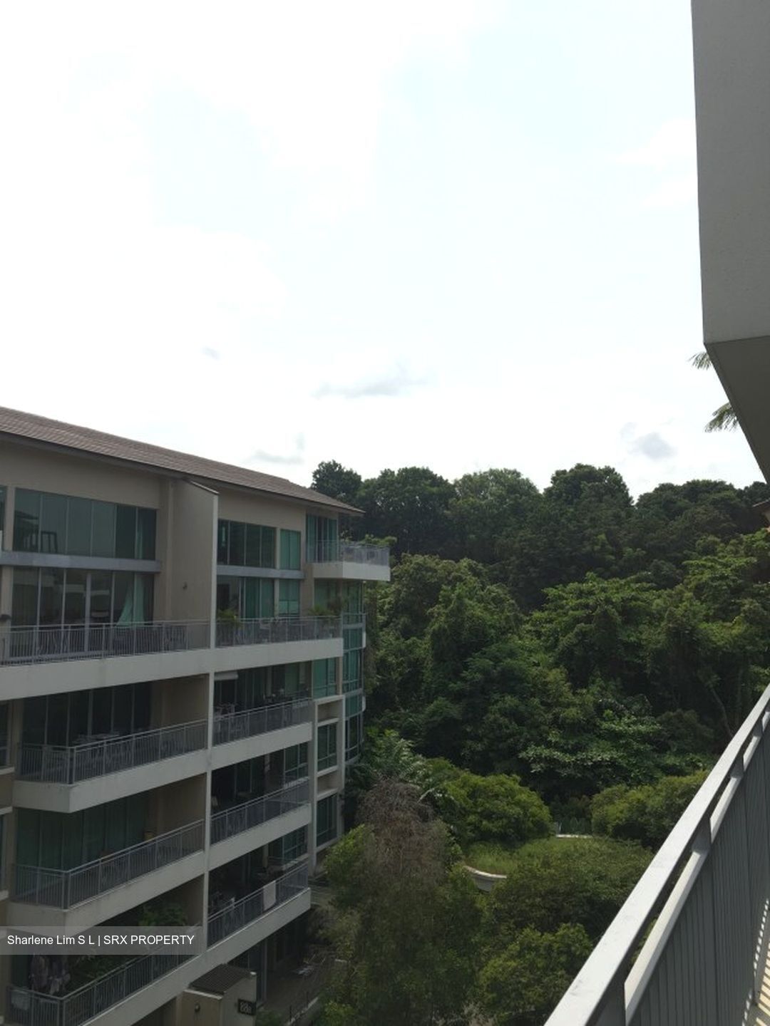ClementiWoods Condominium (D5), Condominium #421300241
